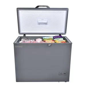Scanfrost  Deep Freezer 200 ECO - silver
